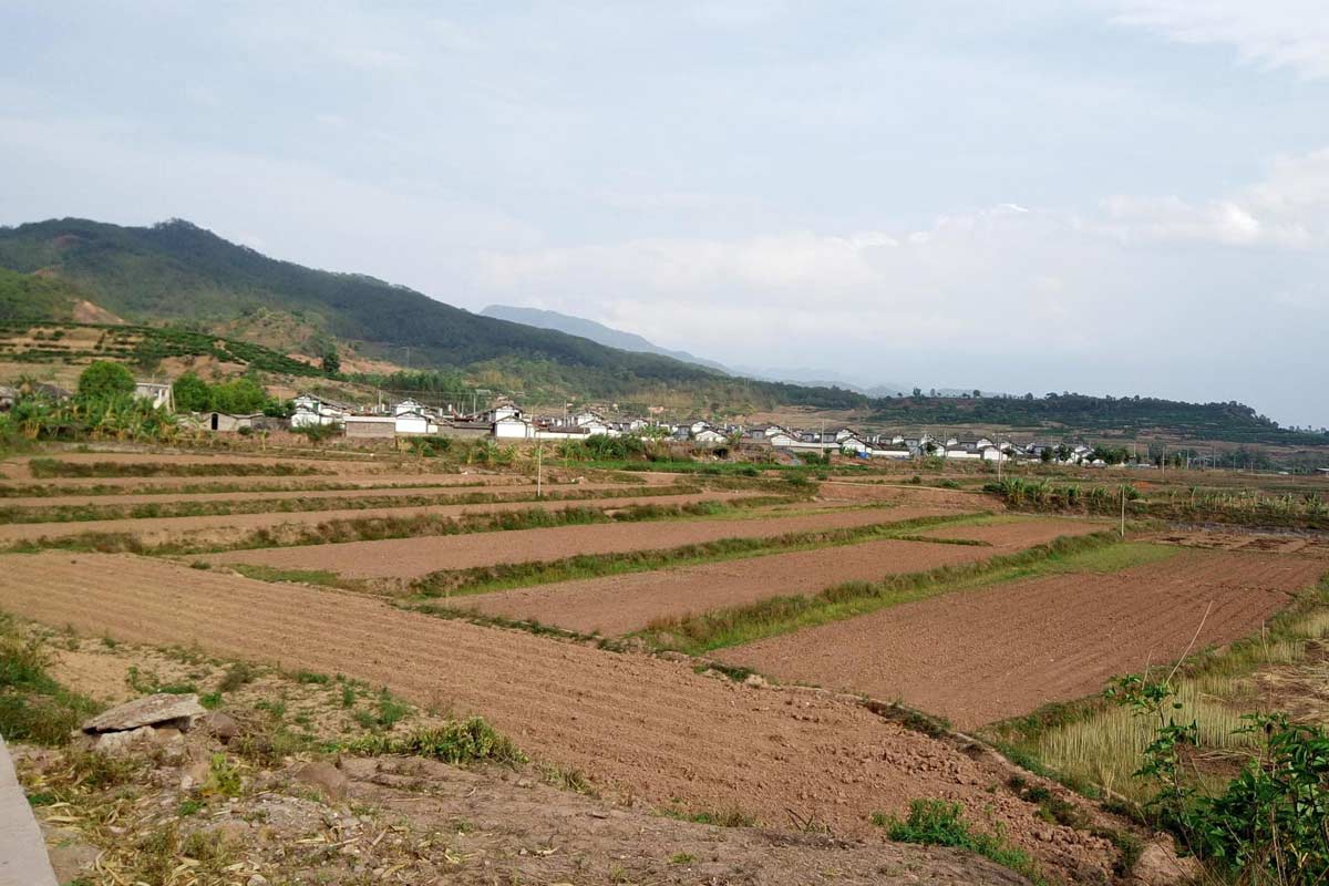 土地使用權拍賣